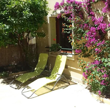 Les Mimosas *