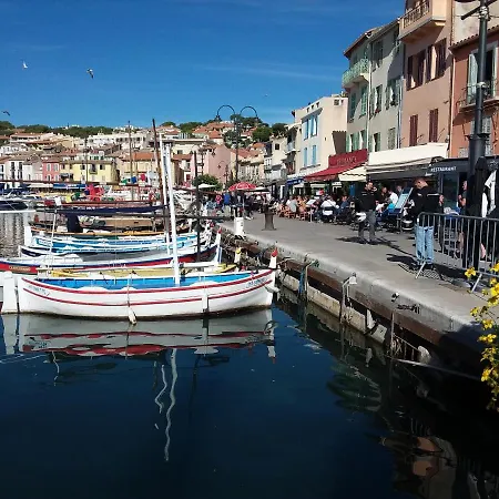 Les Mimosas Cassis