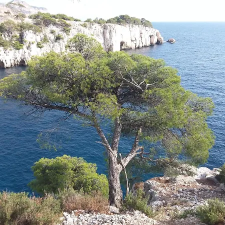 Appartement Les Mimosas Cassis